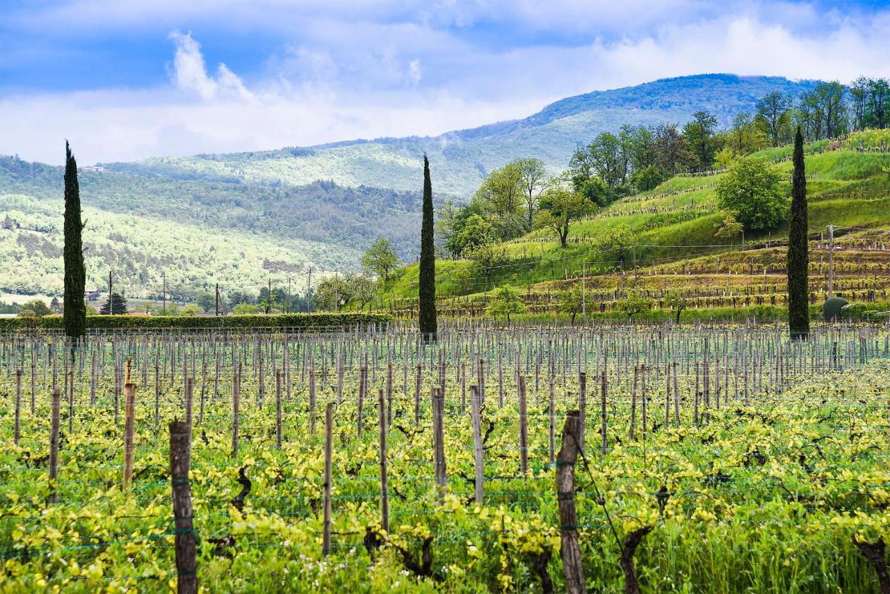 Venica & Venica Wine Resort Dolegna del Collio Eksteriør bilde